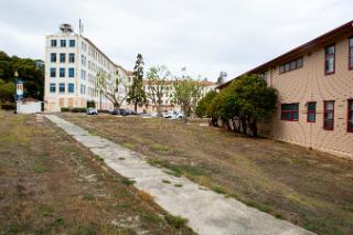 Plot of land where the food forest garden will be planted, behind the College of Pharmacy building