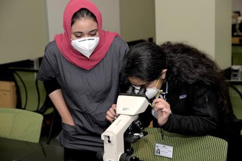 Female student in pink hijab and covid face mask leans over another female student examining skin cells under a microscope.